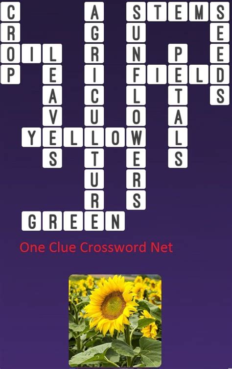 Sunflower kin crossword clue - The crossword clue Sunflower kin with 5 letters was last seen on the September 16, 2023. We found 20 possible solutions for this clue. We found 20 possible solutions for this clue. We think the likely answer to this clue is ASTER.